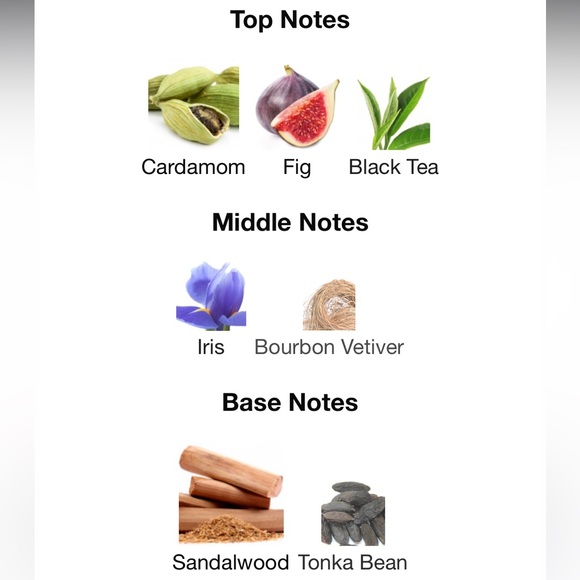 BDK Gris Charnel - Picture 6 of 6